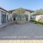 Apollonion فيلة