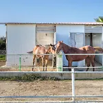 Apollonion فيلة سيراكوزا
